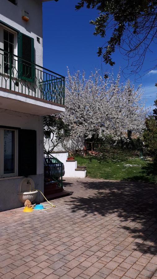 Il Ciliegio Del Pellegrino Apartment Gubbio Exterior photo